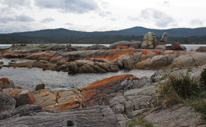 overcast day, the Bay of Fires Tasmania with red rocks 