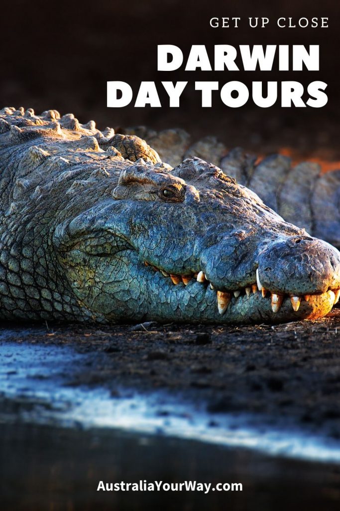 Darwin Day tours