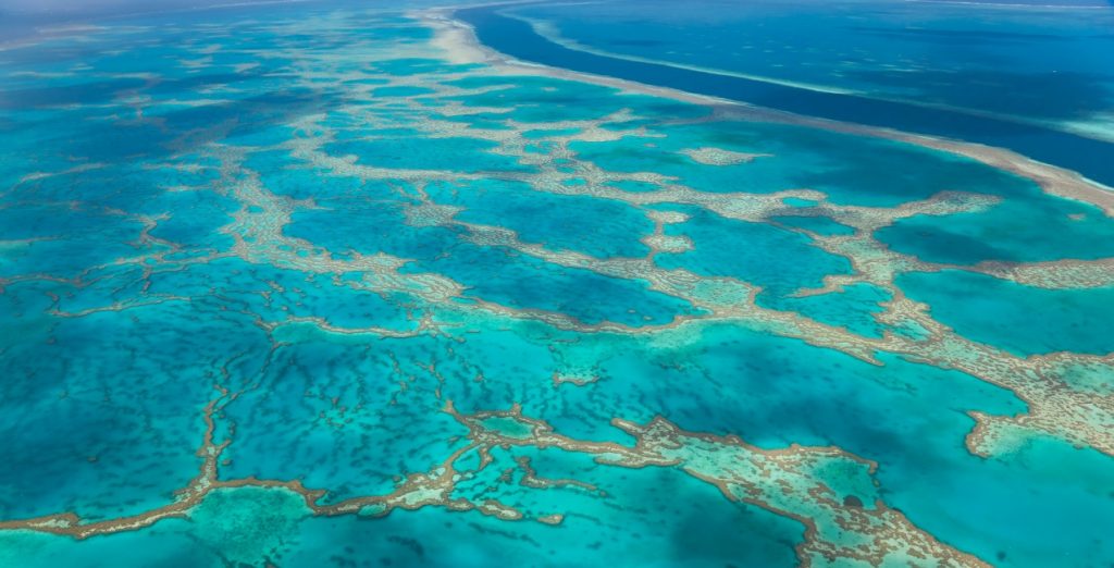 How To Plan Your Great Barrier Reef Holiday Australia Your Way