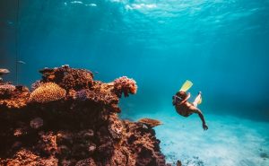 How To Plan Your Great Barrier Reef Holiday | Australia Your Way