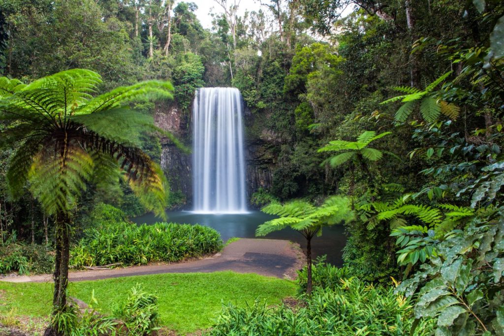 Millaa Millaa Falls near Cairns