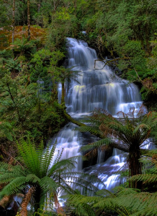 Triplet falls, Otway National Park, Australia
