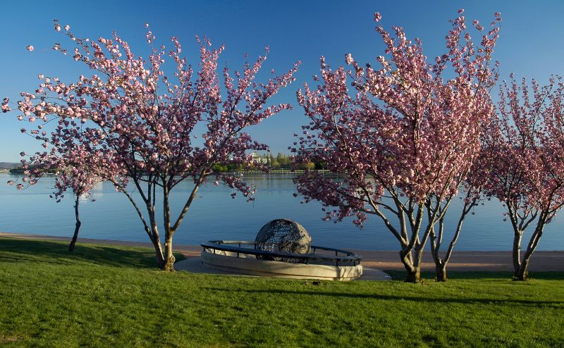 Canberra in Spring