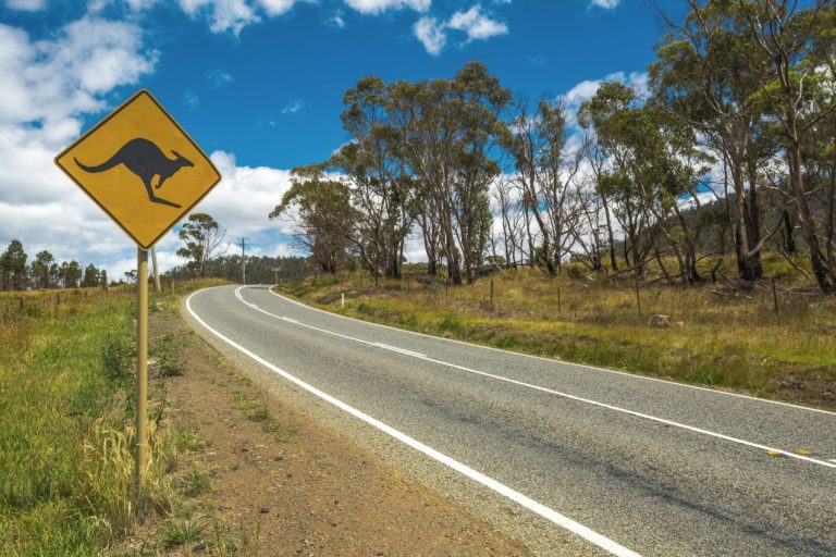 Tips for Driving in Australia