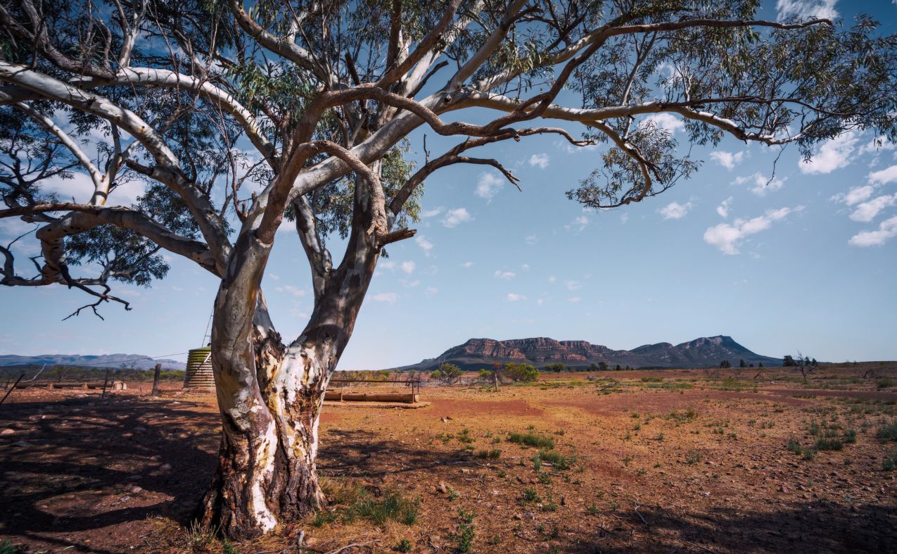 Wilpena Pound in the Flinders Ranges, South Australia
