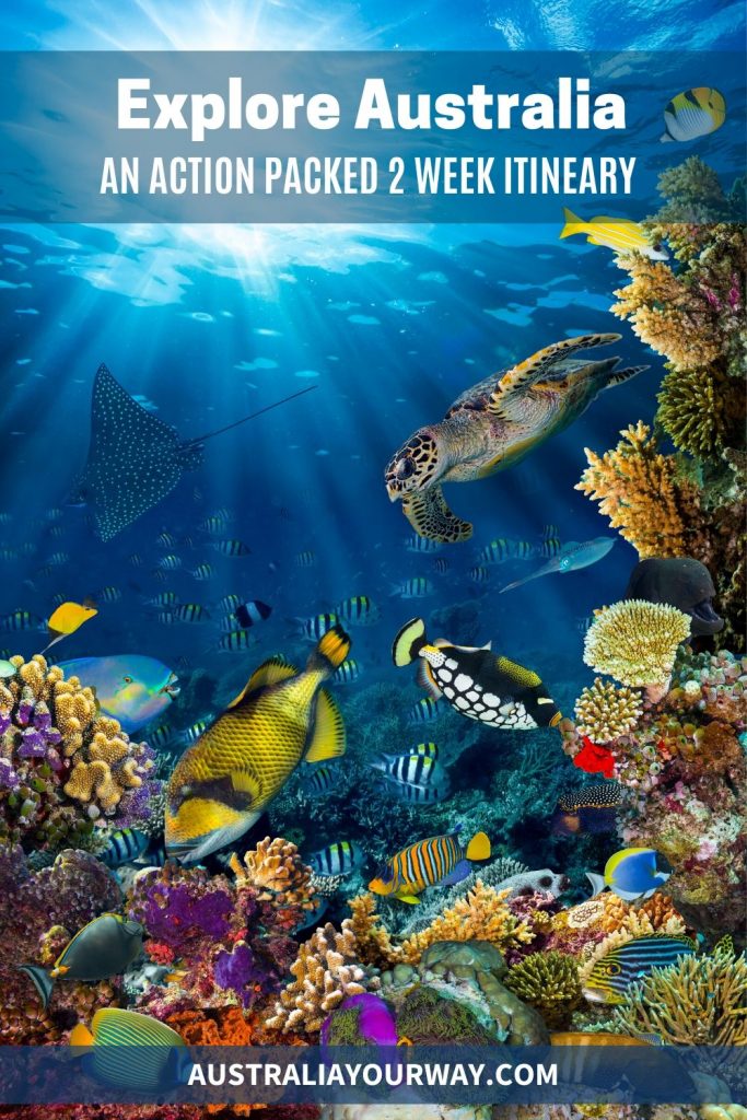 Australia reef itinerary
