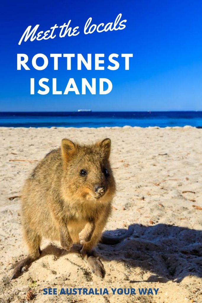 Rottnest Island day tour