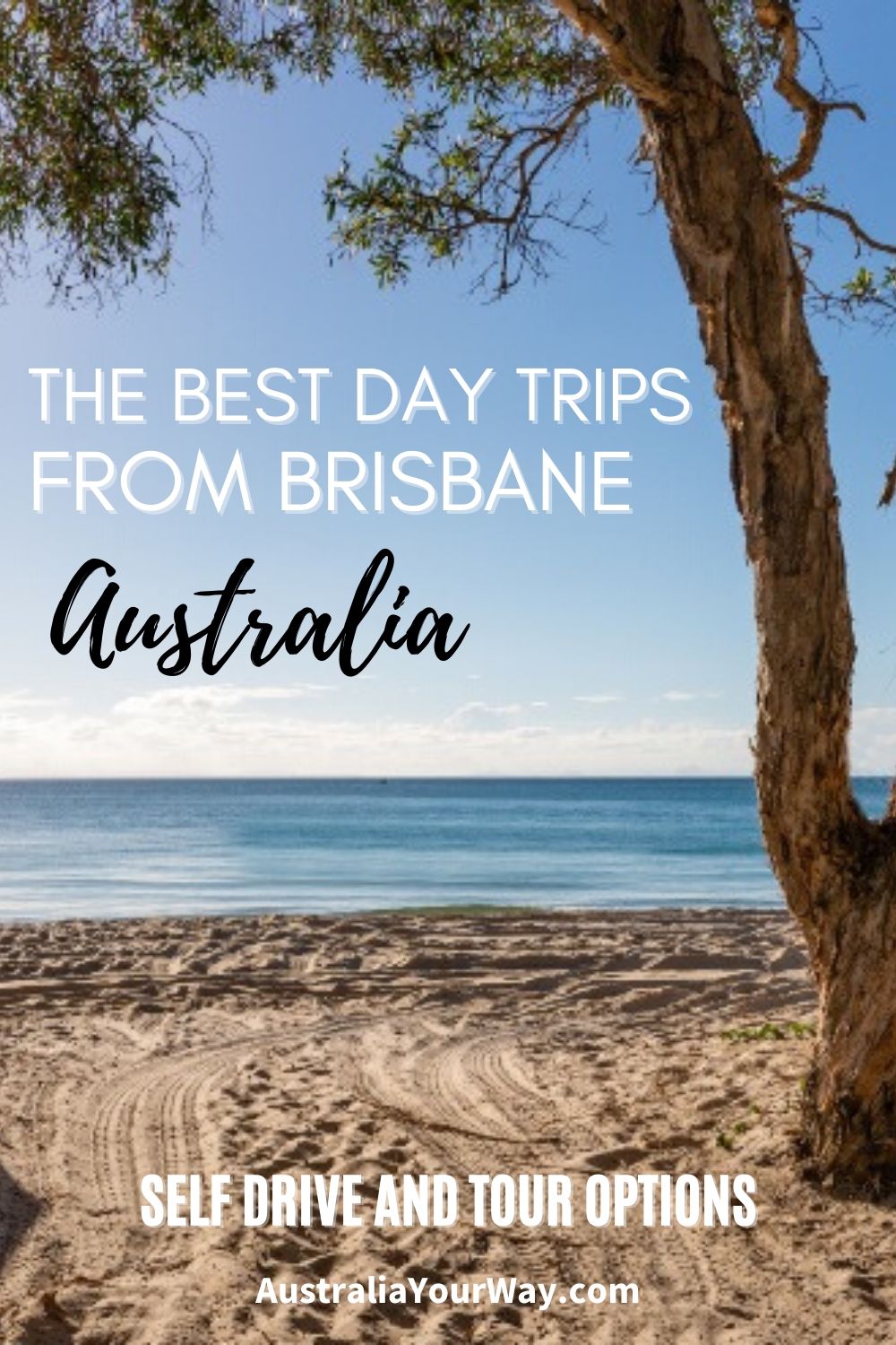 best day trips in brisbane