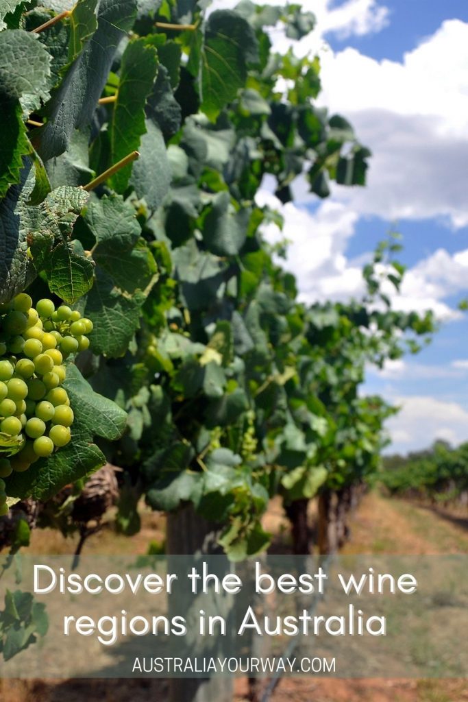 Australias wineries