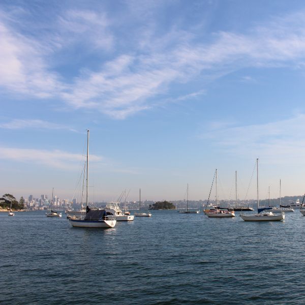 Sydney Harbour view 