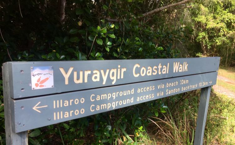 Yuraygir Coastal Walk 