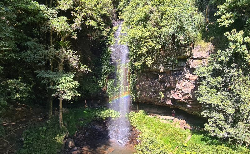 Crystal Showers Fall Dorrigo National Park with a small rainbow