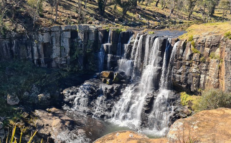 The top-level of Ebor Falls  Waterfall Way Itinerary 