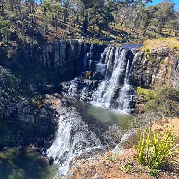 The top-level of Ebor Falls from the lookout