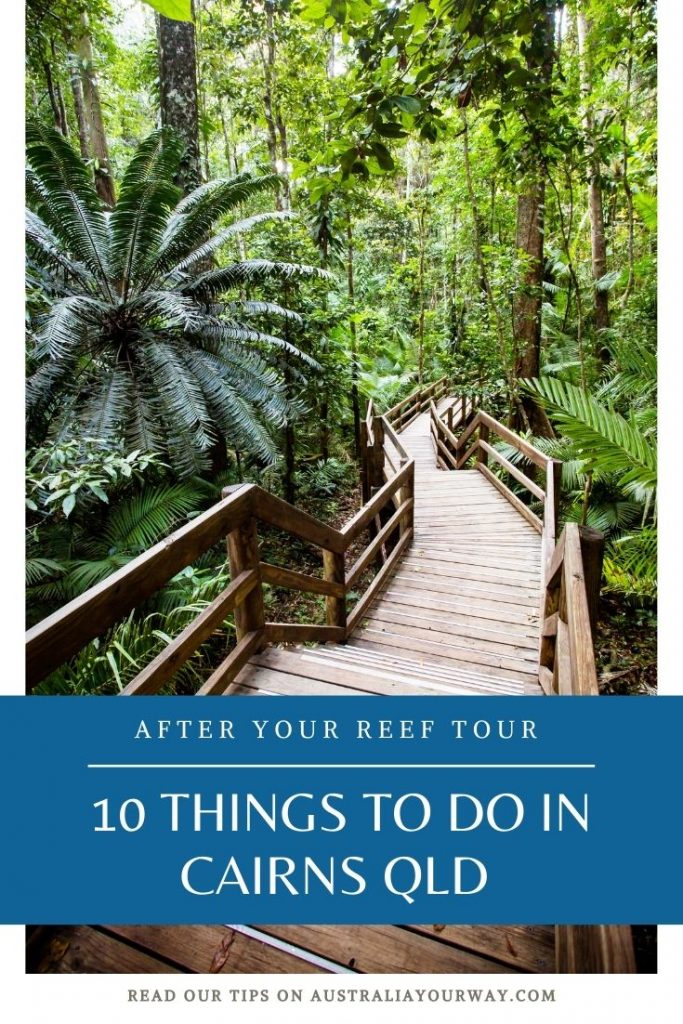 Things to do in Cairns after reef
