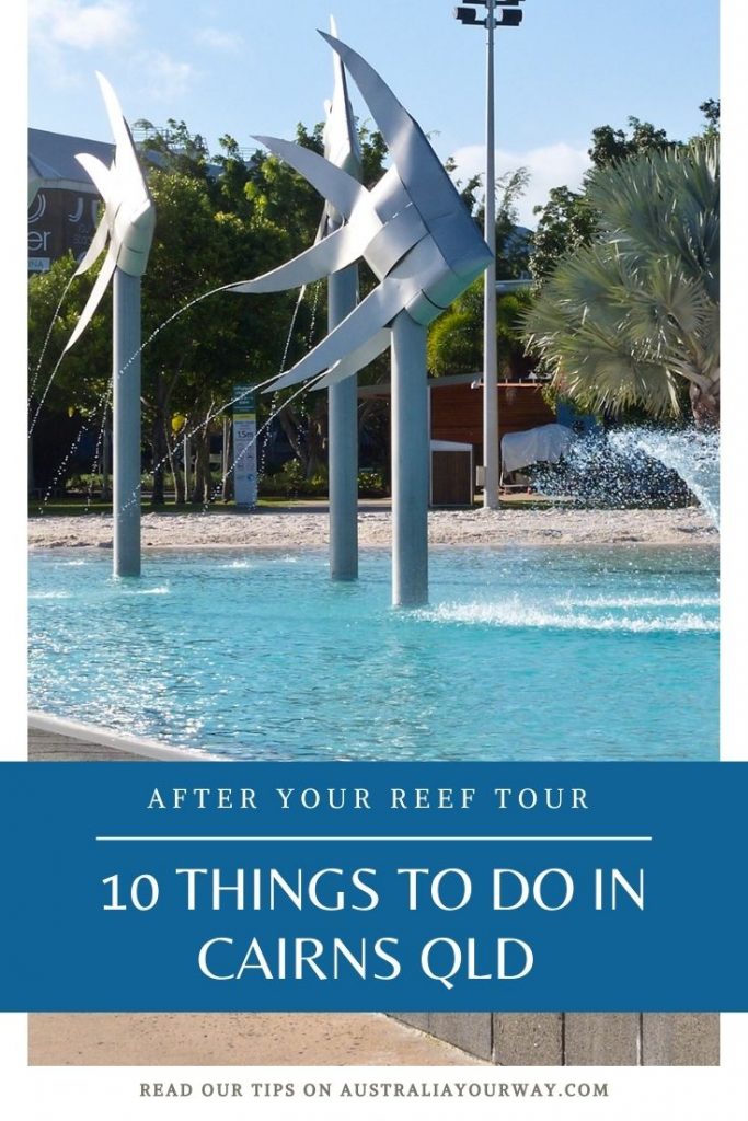 things to do in Cairns