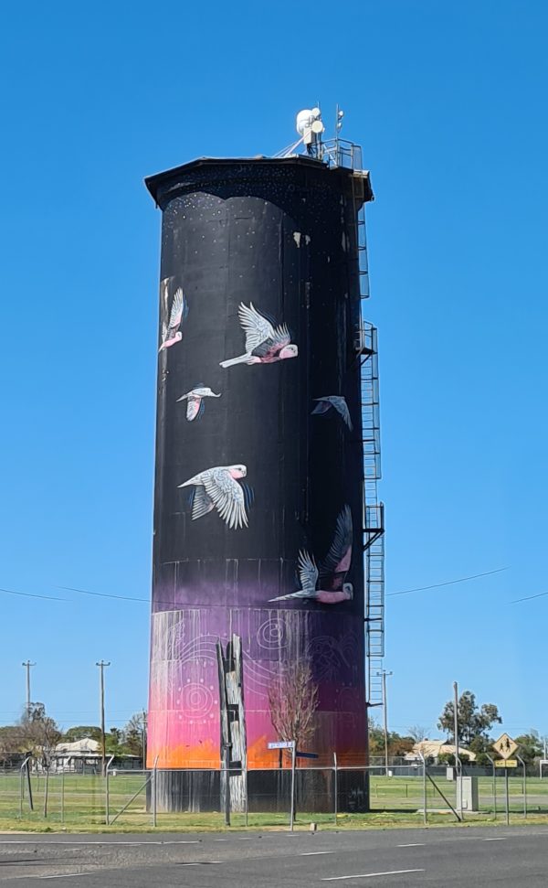 Coonbamble Water Tower art NSW painted by John Murray
