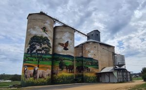 Silo Art in Australia: Exploring the Silo Trails