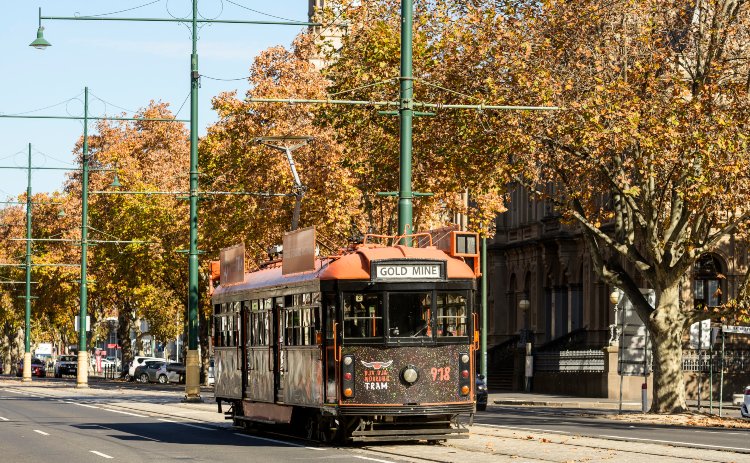 The famous Bendigo Tram in one of the must things to do in Bendigo