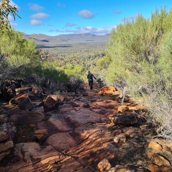 the rocky path to Wangarra lookout platform