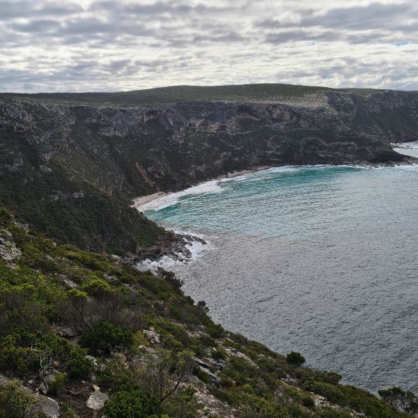 Weirs Cove cliffs Kangaroo Island 