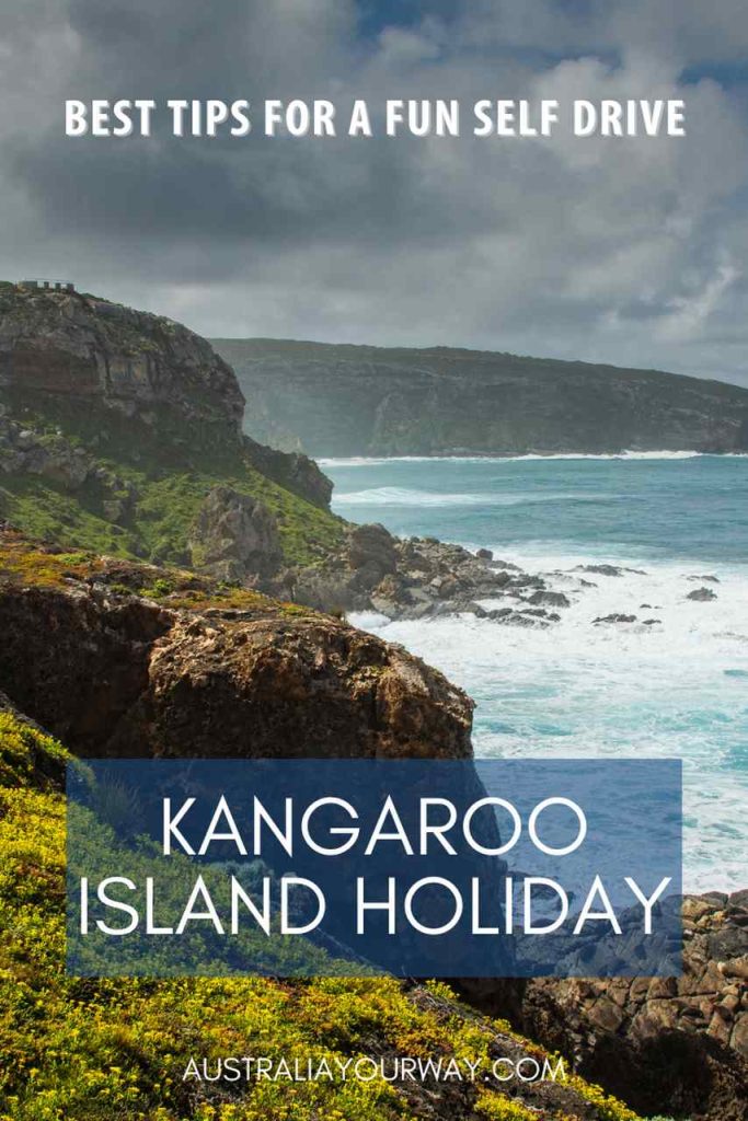 tips-for-fun-self-drive-to-Kangaroo-Island-Holiday-australiayourway.com
