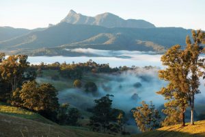 Scenic country views of Mount Warning in the Tweed Range.