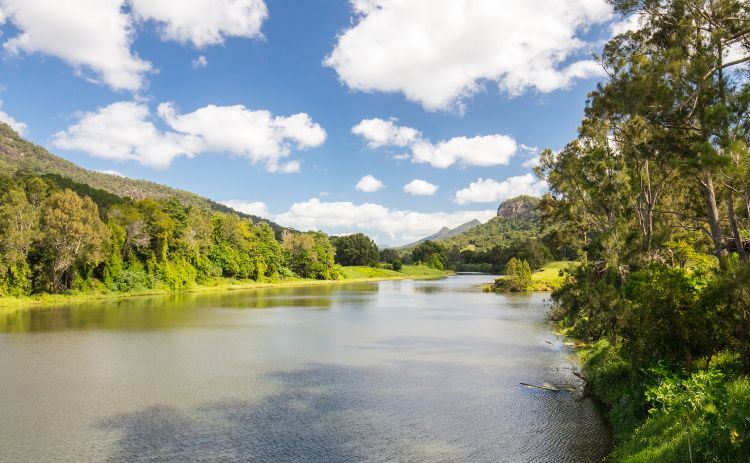 Tweed River NSW 