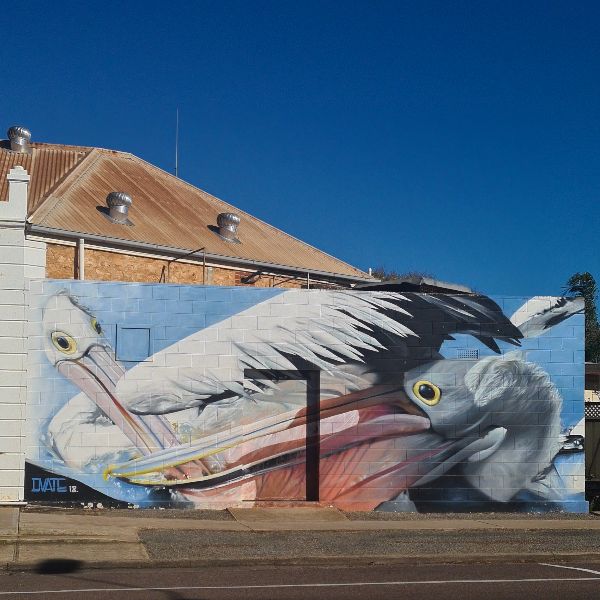 2Dvate Cowell Seagull South Australia mural