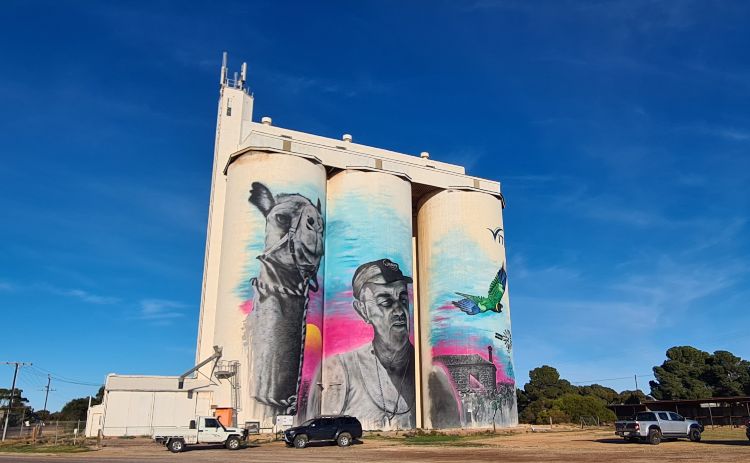 Cowell Silo Art Eyre SA  Lionel Deer and Diamantina, his camel, painted in 2019 by Austin 'Nitsua' Moncrieff. 