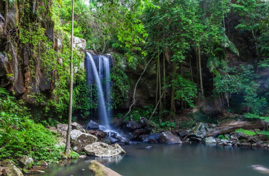 Stunning Waterfalls in the Gold Coast Hinterland