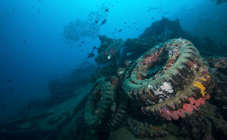 Diving Santo Pacific Dive - Million Dollar Point