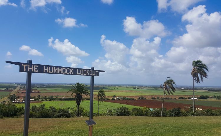 Hummock Lookout Queensland