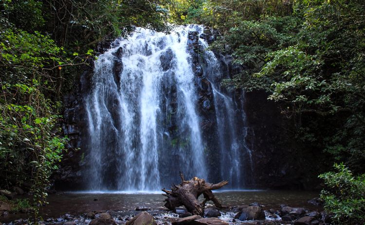 Ellinja Falls near Cairns Queensland