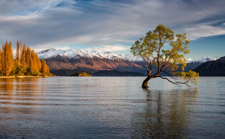 Lake Wanaka in New Zealand