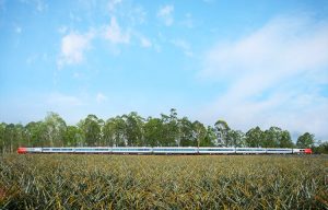 Spirit of Queensland Train: The Complete Guide to Brisbane & Cairns