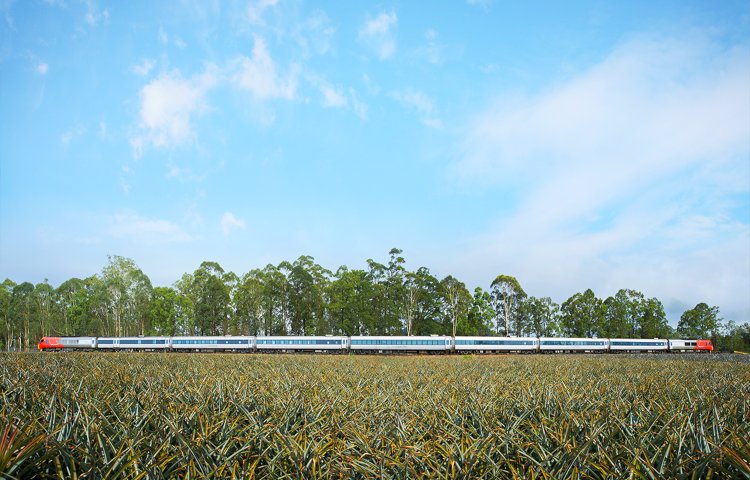 10. Photo credit Queensland Rail Spirit of Queensland train