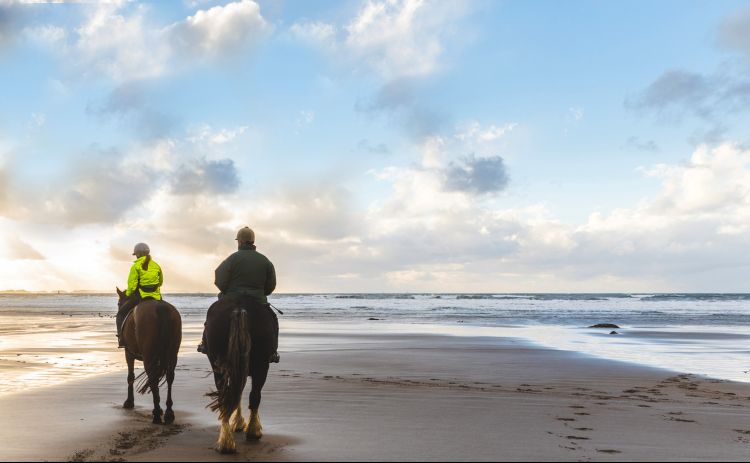 Beach horseriding