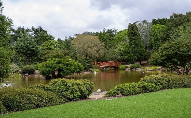 Japanese Garden Toowoomba