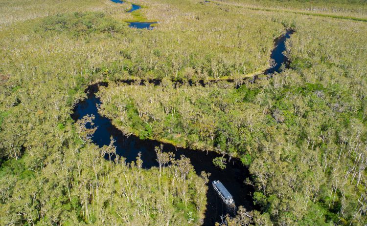 Noosa Everglades TEQ 
