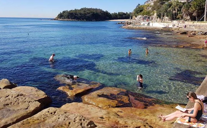 Snorkeling Manly