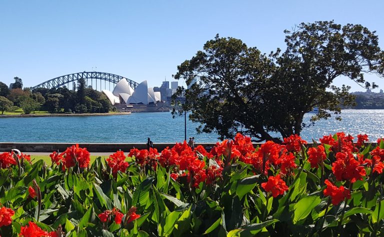 Sydney Botanic Gardens Red flowers