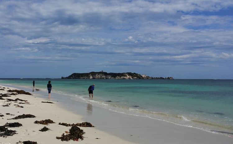 Hamlin Bay Western Australia Beach