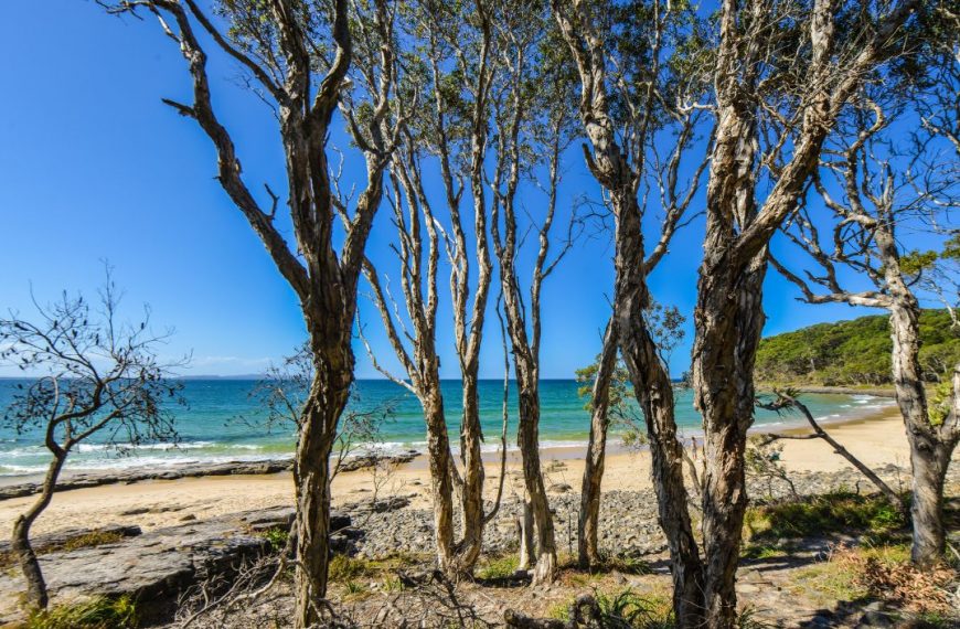 Noosa National Park Queensland