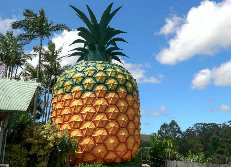 Big Pineapple Queensland