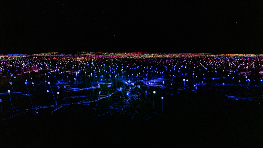 Field of light panorama at night with mostly blue lights in NT Australia