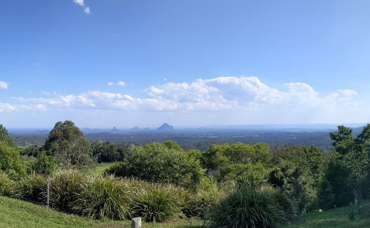 View of the Glass House Mountains from Mary Cairncross Scenic Reserve 