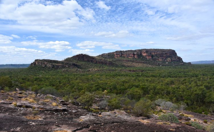 Gunwarrdehwarrde Lookout Kakadu National park