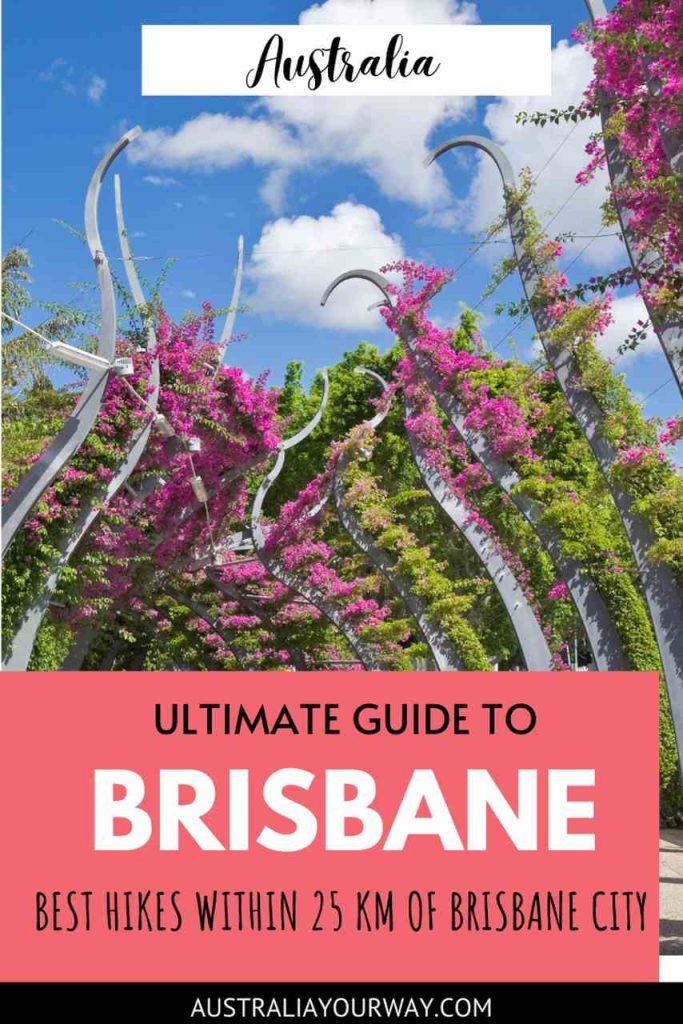8-amazing-hikes-in-Brisbane-australiayourway.co