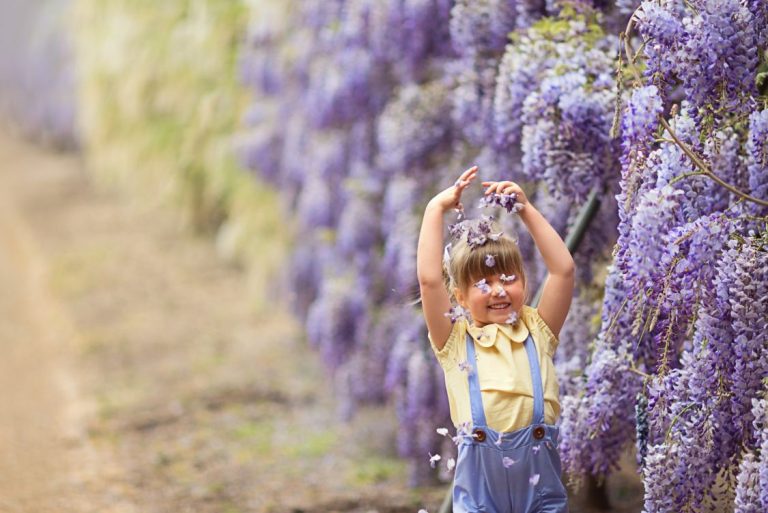Adelaide Botanic Garden Credit South Australian Tourism Commission and
